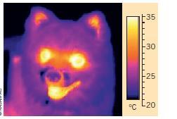 Le radiazioni infrarosse sono generate dalla vibrazione e dalla rotazione delle molecole all interno di un materiale.