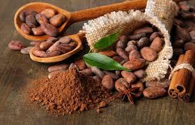 Ma è vero che il cacao fa bene? «Ni» Il cacao di alta qualità con molti antiossidanti si!