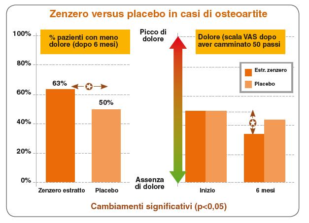 Zingiber officinalis: un Cox-2/Lox5