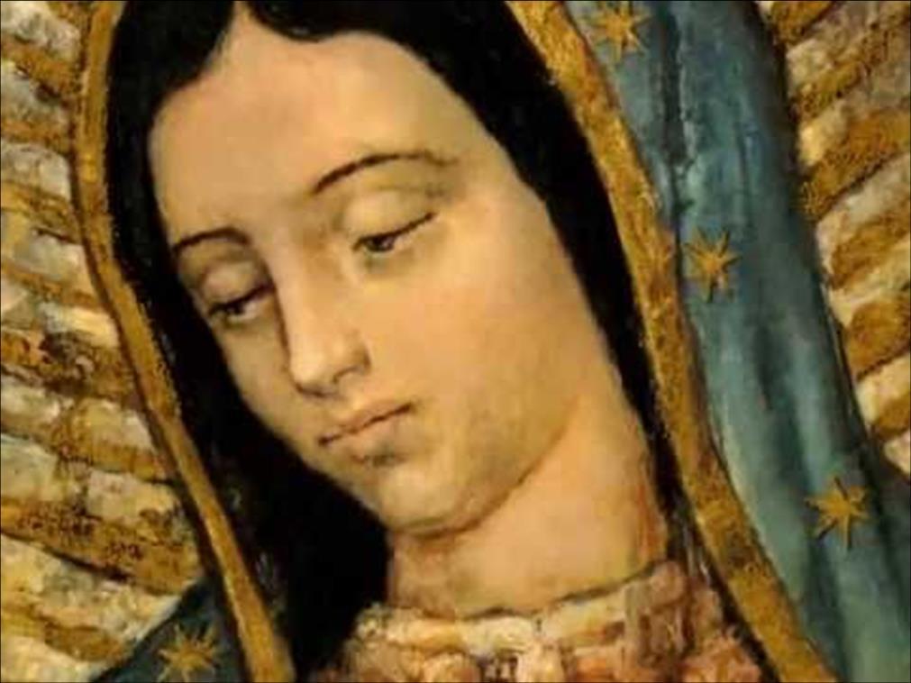 3 dicembre Madre del vero Dio per cui tutto vive Oh Maria, tu sei la madre del vero Dio, per cui tutto vive, e nel misterioso disegno di infinito amore di Dio, sei anche la mia vera e tenerissima