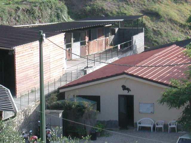 Il Centro Ippico Pompeiana è un centro sportivo dilettantistico senza scopo di lucro,