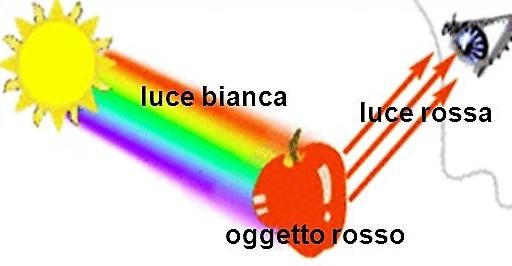 Come l Occhio Vede i Colori Noi vediamo la luce «riflessa» o «trasmessa» dagli oggetti Un «oggetto rosso» è un oggetto che «riflette» o «trasmette» la luce di lunghezza d onda corrispondente al rosso