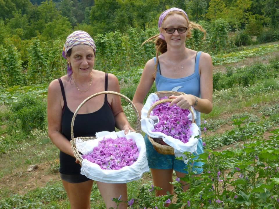 festa, del lavoro, dell'emigrazione, dei sistemi rituali e terapeutici tramandati di generazione in generazione.