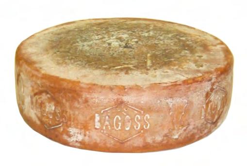 Bagoss di Bagolino - Lombardia - forma intera Codice: FM195 Peso: kg.