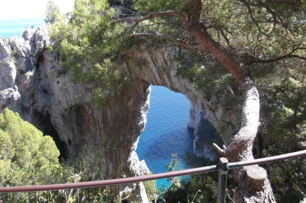 tipiche della Macchia Mediterranea.