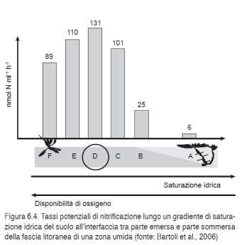 OSSIGENO