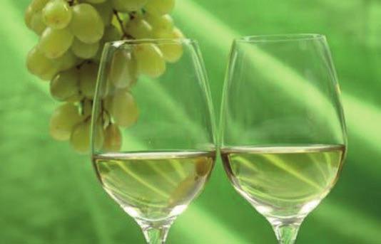 Sono questi gli elementi fondamentali di una serata all insegna della tradizione vitivinicola, gastronomica e florovivaistica del territorio imperiese.