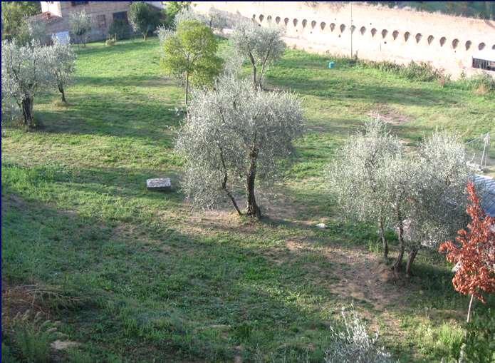 Siti verdi cittadini: in aree verdi pubbliche all