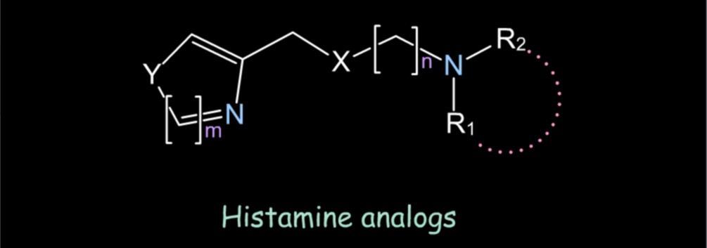 Furono allora sintetizzate e testate farmacologicamente molte molecole correlate con la struttura dell