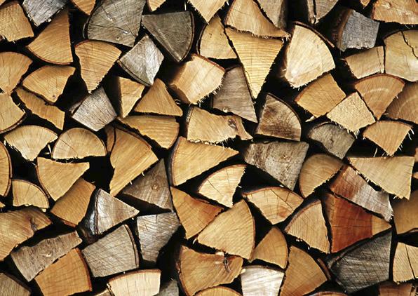 La scarsità di materia prima nella filiera produttiva legno arredo - Italia, 1