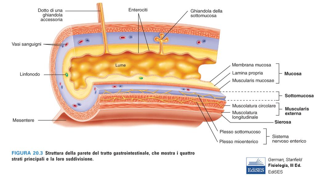 LA PARETE DEL CANALE