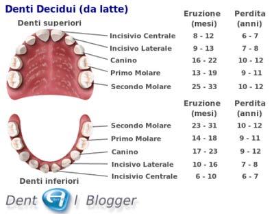 Inoltre sono difiodonti: i