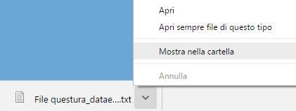 6. A seconda del browser internet utilizzato (chrome, firefox, explorer, etc.