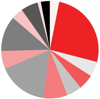 Investimento del patrimonio Asset Allocation per 31.12.2016 Hedge Funds 5.7% Infrastruttura 1.1% Materie prime 3.0% Liquidi 3.1% Insurance Linked Securities 3.9% Immobiliare 11.