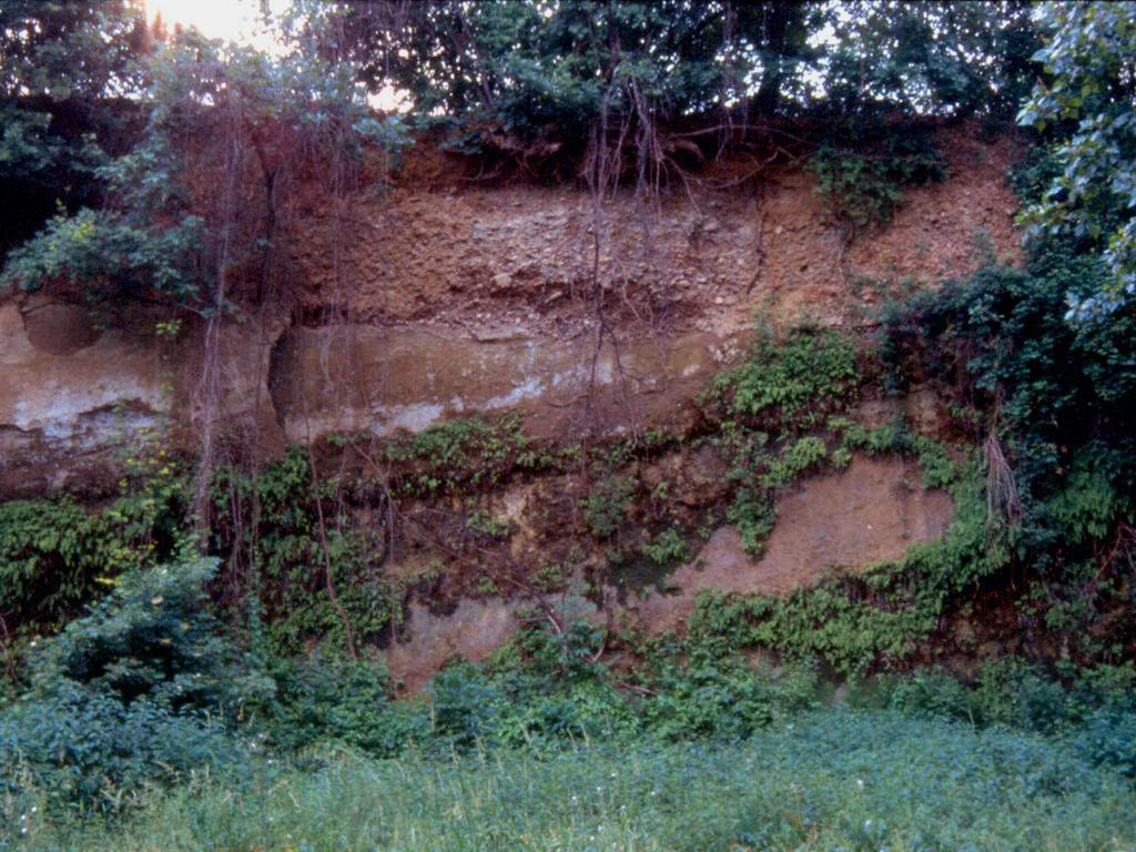 Esempi di limiti inconformi: Deposito alluvionale di terrazzo nella porzione intravalliva 3-5 mt.