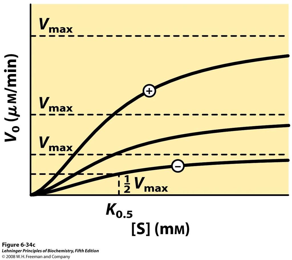 modificare la K 0,5 o la Vmax o entrambe Cambia la K 0,5 ma non la