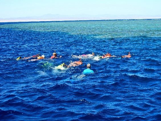 SOCI 110,00 - OSPITI 120,00 (anziché 150,00 euro) CORSO APNEA: dedicato ai nuotatori con sufficiente acquaticità, abilita l immersione in apnea fino alla profondità di 8 metri, ma soprattutto insegna