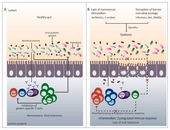 Gut microbes and adverse food