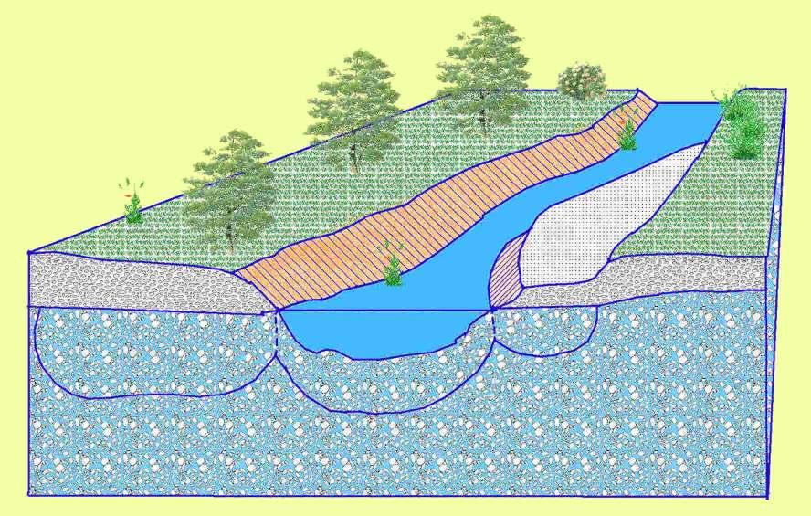 La zonazione verticale Terrazzo alluvionale Alveo attivo Zona insatura Superficie freatica Zona iporreica della piana alluvionale Zona iporreica di subalveo Zona