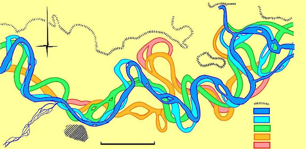 La zonazione temporale La dinamica fluviale Evoluzione del F.