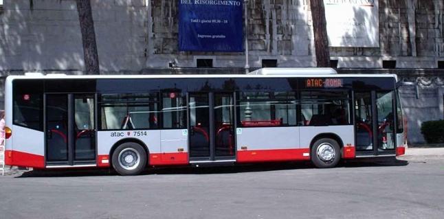 Autobus Guida libera Crisalli U -