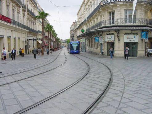 Tram Guida vincolata Crisalli U -