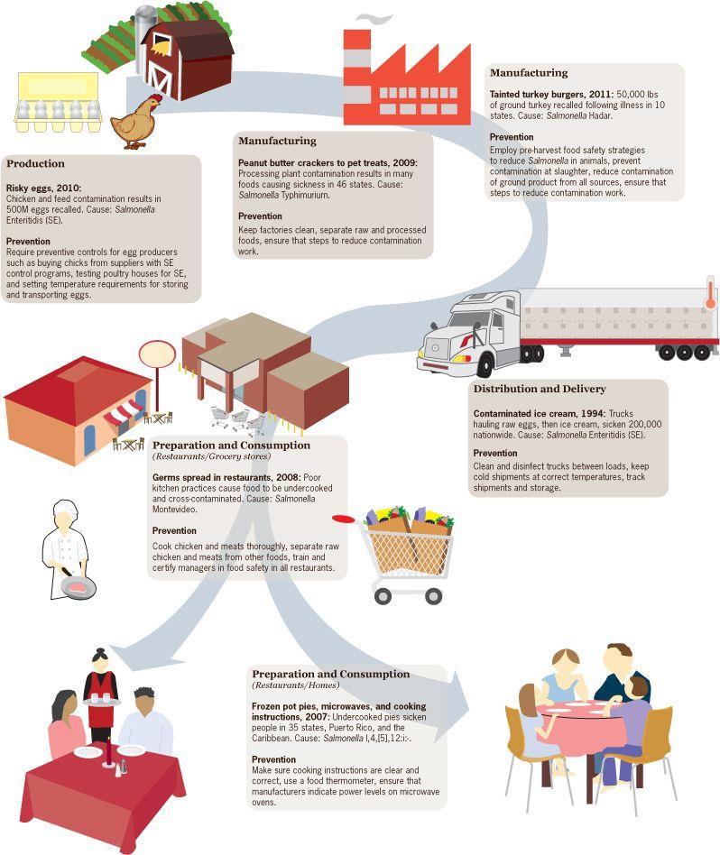 Una valutazione quantitativa del rischio microbiologico deve fare riferimento al modello «FROM FARM TO TABLE» cioè si devono analizzare