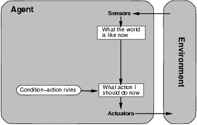 Simple reflex agents Algoritmo: su lucido... Simple reflex agents E adeguato per il robot aspirapolvere che può percepire solo la presenza/assenza di sporco?