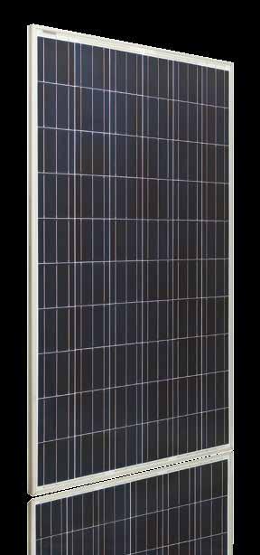 TRIENERGIA TRI300BC-WA - TRI310BC-WA - TRI320BC-WA Trienergia TRI-xxxBC-WA WHITE back contact Modulo Fotovoltaico (MWT)MonoPERC MonoPERC (MWT) Photovoltaic Module Mono 60 celle Modulo fotovoltaico