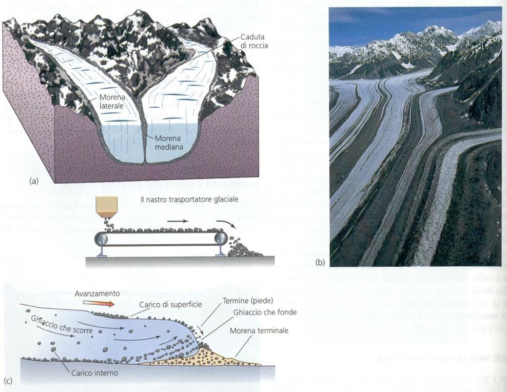 L azione sedimentologica del