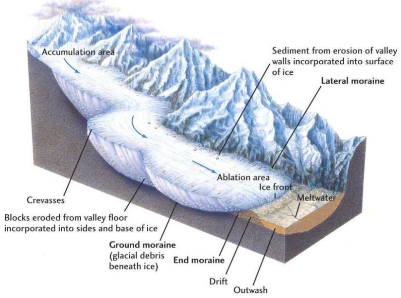 Ground morain o morena di fondo. Composta da «till tritato, compattato dal ghiaccio sovrastante. Molto compatto, strutture orientate da carico.
