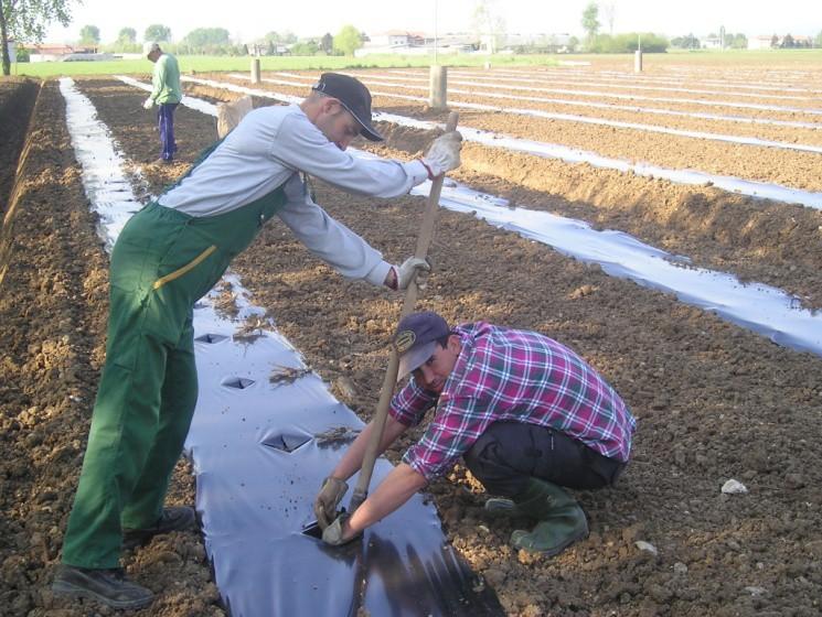 acqua: il progetto