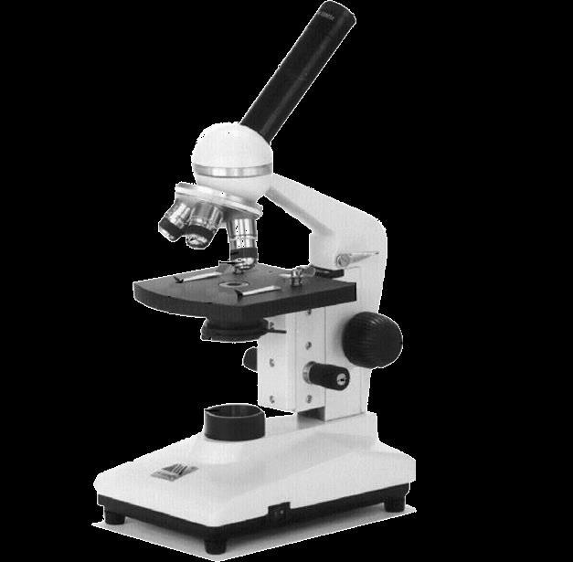 Lo strumento base del microbiologo: il microscopio Tubo portalenti Oculare Revolver portaobiettivi Obiettivo 10x Obiettivo 40x