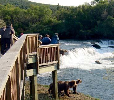 Costruito nel cuore del Kodiak National Wildlife Refuge offre agli ospiti la possibilità di osservare e studiare i leggendari orsi Grizzly di kodiak.