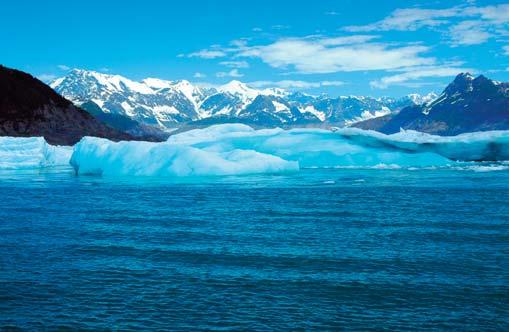 79,00 l DENALI GRAND TOUR & GLACIER LANDING Questa escursione vi darà la possibilità di ammirare il Mt. McKinley a 360 in aereo. Si esplorerà dapprima la zona sud dell Alaska Range.