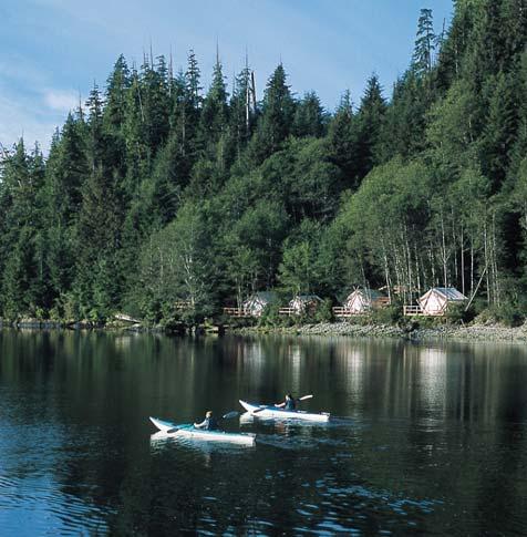 Trasferimento da Vancouver in aereo per Port Hardy, da qui in idrovolante per il lodge.