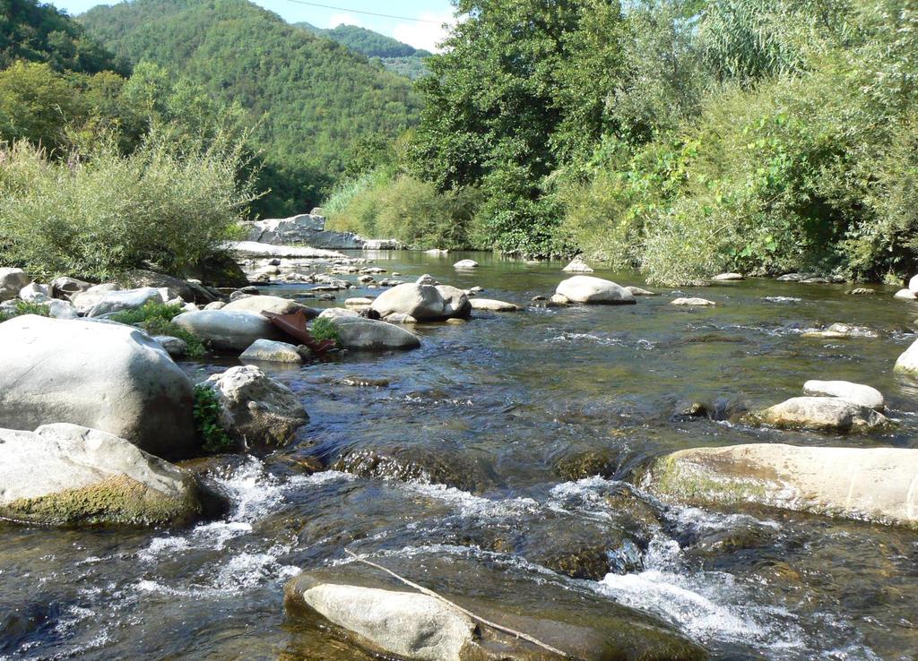 VELOCITA' DELLA CORRENTE Aumenta con la pendenza del versante Diminuita dalla scabrezza dell'alveo (roccia,