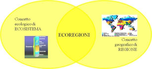 L approccio ecoregionale L approccio ecoregionale consente di