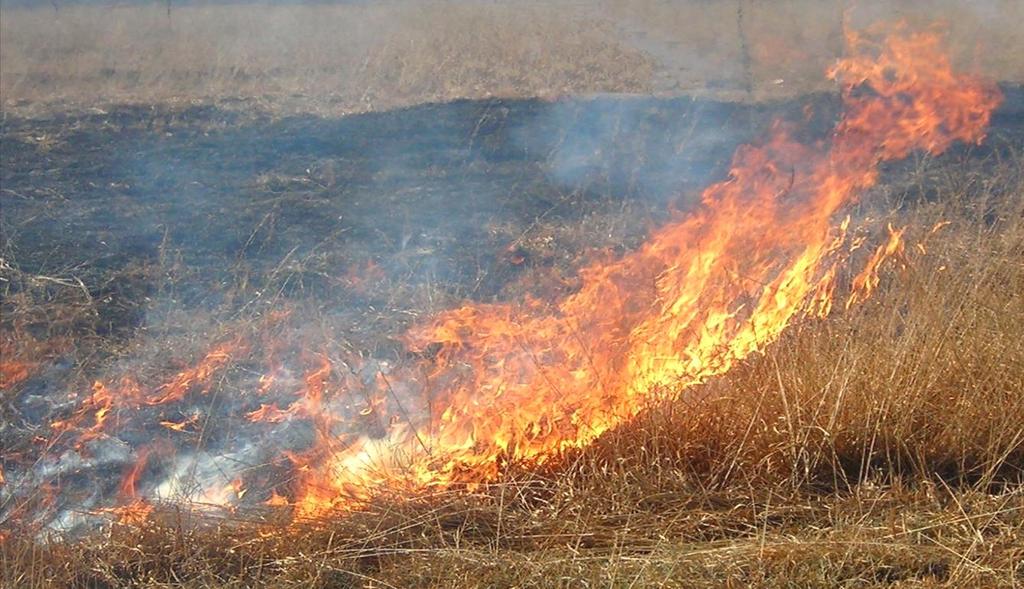 Infiammabilità dei combustibili Fattori che influiscono