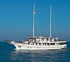 M/S Afrodita pianta della nave M/S Eden pianta della nave Lunghezza: 34 metri Larghezza: 7,5 metri Velocità: 9,5NM Cabine: 7 Capienza: 38 persone Lunghezza: 34,5 metri Larghezza: 9 metri