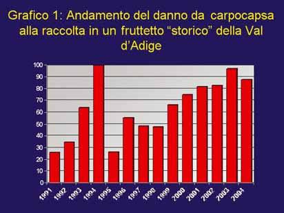 ANDAMENTO DELLA CAR- POCAPSA Vengono di seguito riportati alcuni andamenti che rendono l idea di quanto la carpocapsa possa essere il principale fitofago del melo.