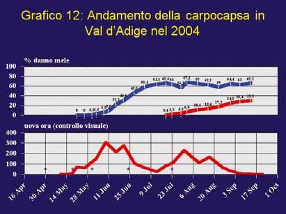 DIFESA/FRUTTICOLTURA Attorno ai 100-120 gradi giorno (vedi figura 1) è importante posizionare le trappole sia in realtà di confusione sia fuori confusione ed iniziare a verificare il volo.