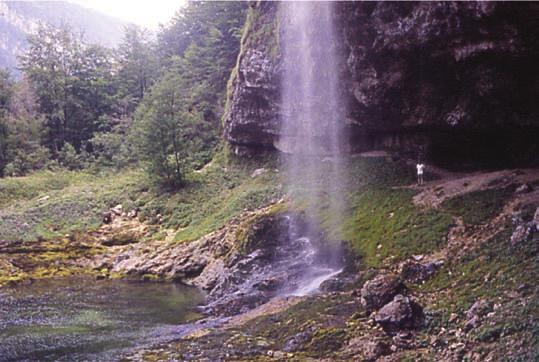 Fig. 2 Il piede della cascata con il retrostante antro, rigoglioso di muschi ed epatiche. (Foto Elio Polli) Mnium ambiguum H. Müll.