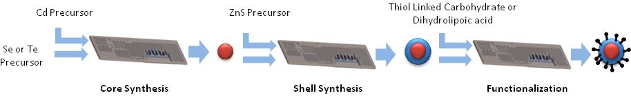 dots (QDs) for biological applications. This method involved a three-step flow synthesis in single-phase by using a continuous flow microreactor.