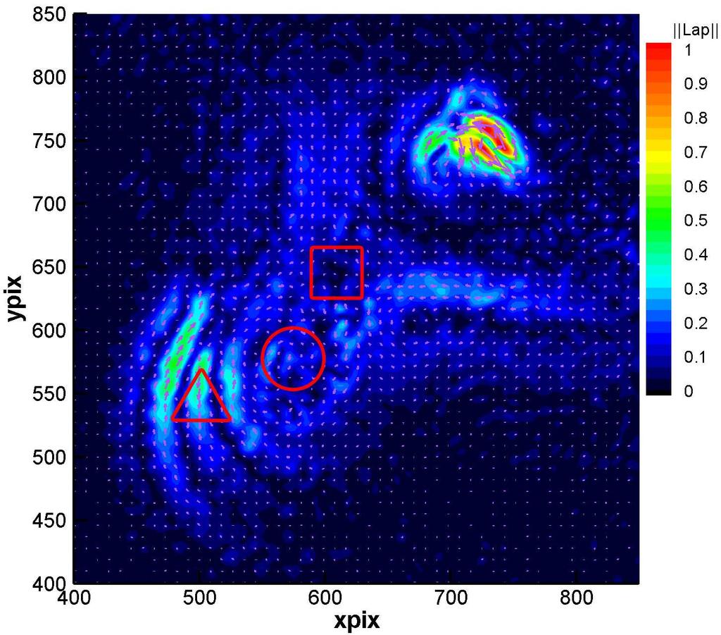 3.3 Results: Navier-Stokes equations terms A zoom on the SW quarter to highlight the physical coherence of the measures.