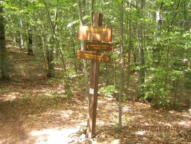 Si attraversa una fitta faggeta restando vicino allo spartiacque che in ogni caso non è netto ed evidente, arrivando in breve al Passo delle Rocche o della Bisinella, dove s incrocia il sentiero