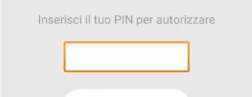 con l APP PlainPay, e di inserire il PIN di 5 cifre.