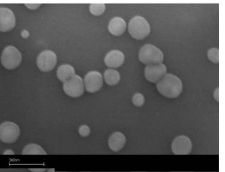 SOLID LIPID NANOPARTICLES (SLN) Definizione Le SLN sono nanoparticelle lipidiche solide con un