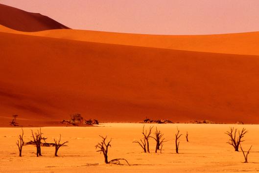 Le dune del Namib Park Il mare di sabbia del Namib si estende da nord a sud per più di 400 chilometri, tra i letti di due fiumi ormai secchi, il Koichab ed il Kuiseb.