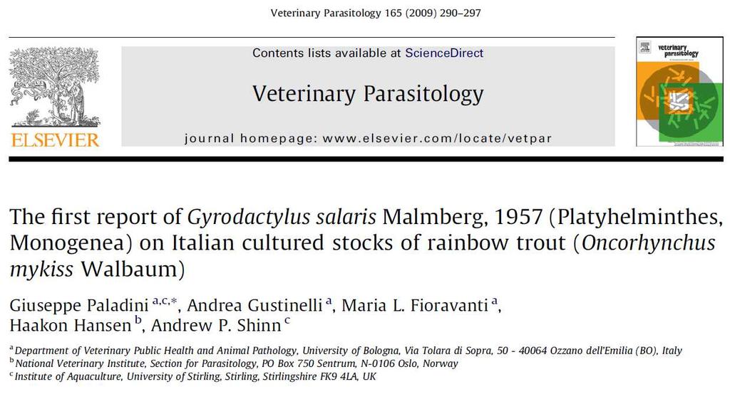 GYRODACTYLUS SALARIS In italia è presente nella trota iridea (Oncorhynchus mykiss), la quale è stata
